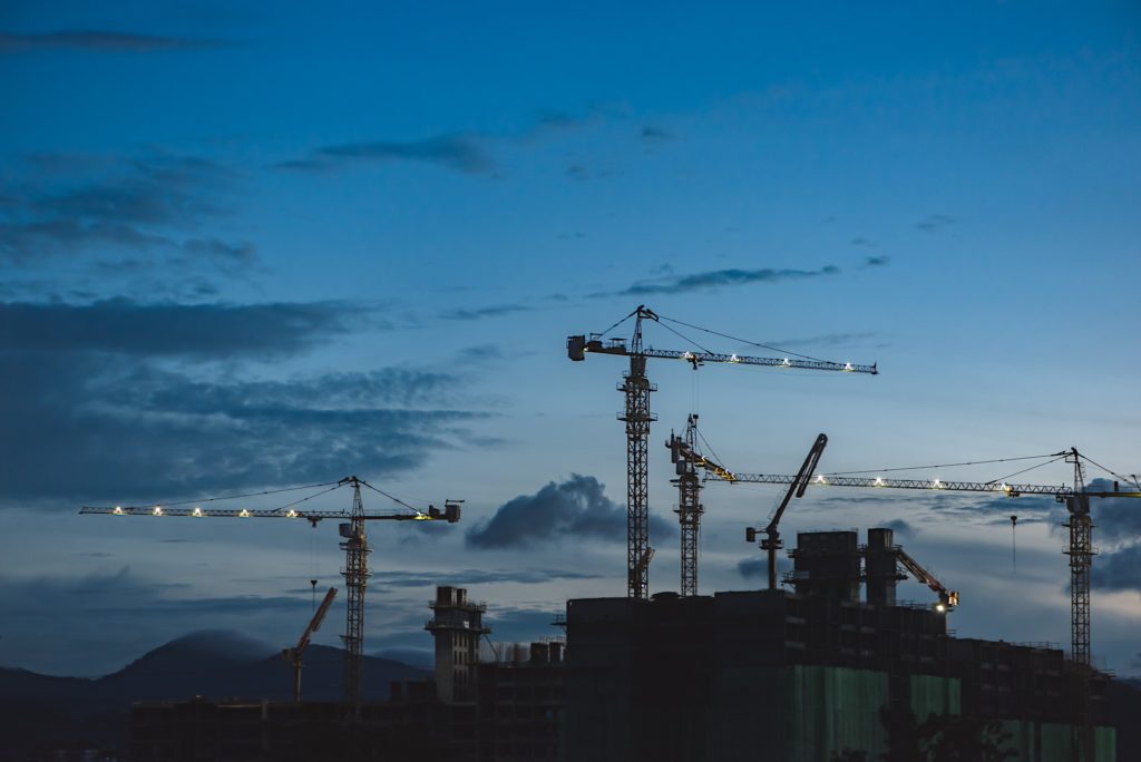 grues ciel bleu soirée